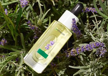 Anti-Aging Nachtcreme auf Lavendel