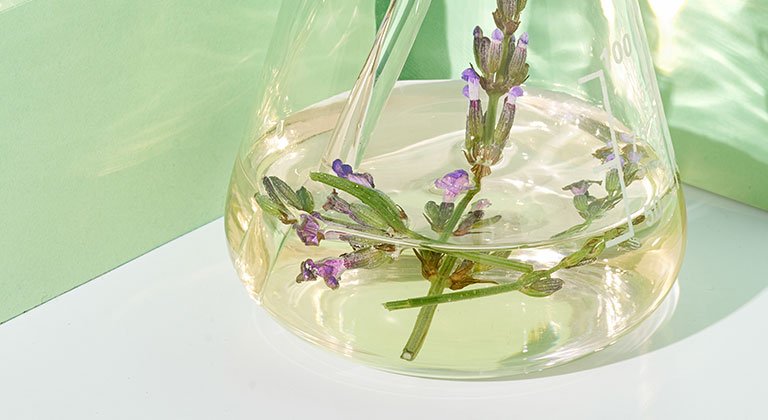 die positive wirkung von lavendelol auf