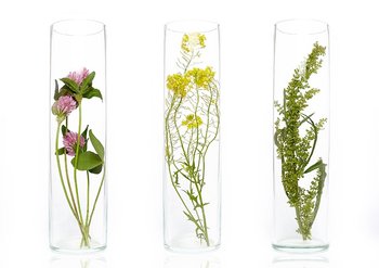 Naturkosmetik – nachhaltig im Trend