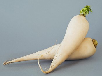 Weißer Rettich mit enthaltenem Zink