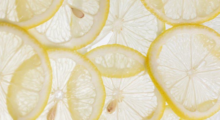 Blick durch eine Schicht aus sehr dünn geschnittenen Zitronenscheiben