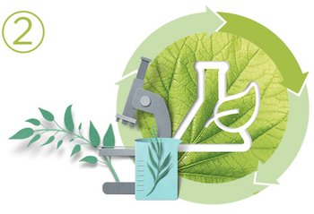 2 - Grüne Wissenschaften