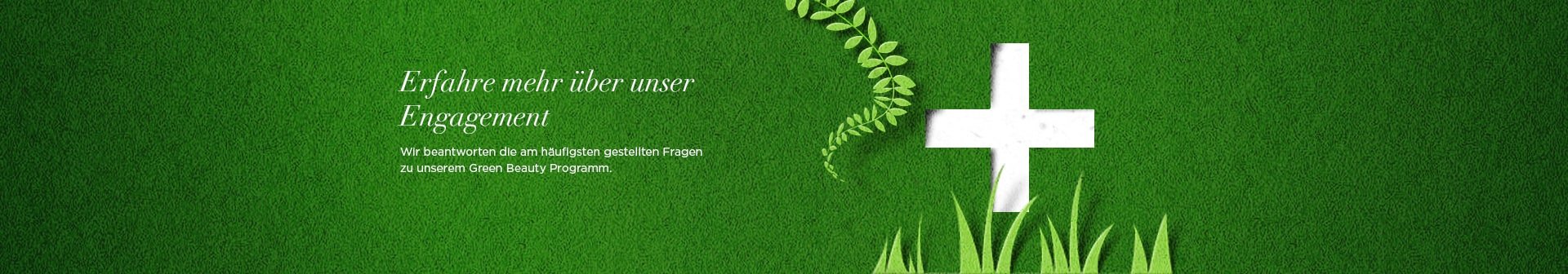 Illustration eines weißen Kreuzes auf grüner Rasenfläche