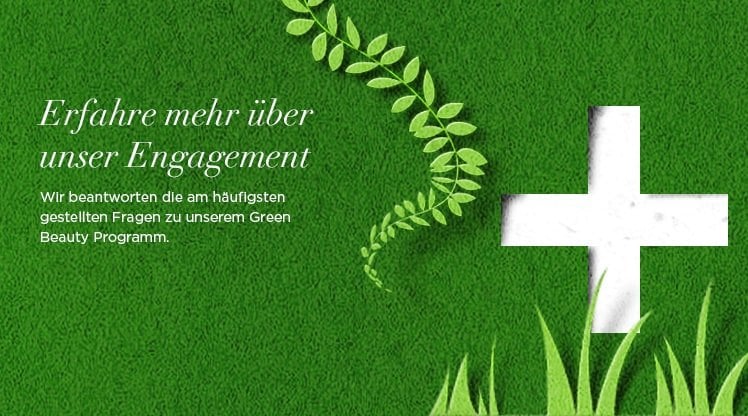 Illustration eines weißen Kreuzes auf grüner Rasenfläche