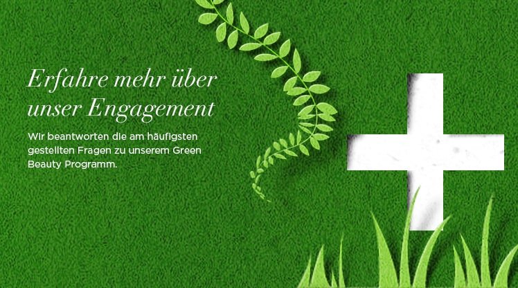 Illustration eines weißen Kreuzes auf grüner Rasenfläche