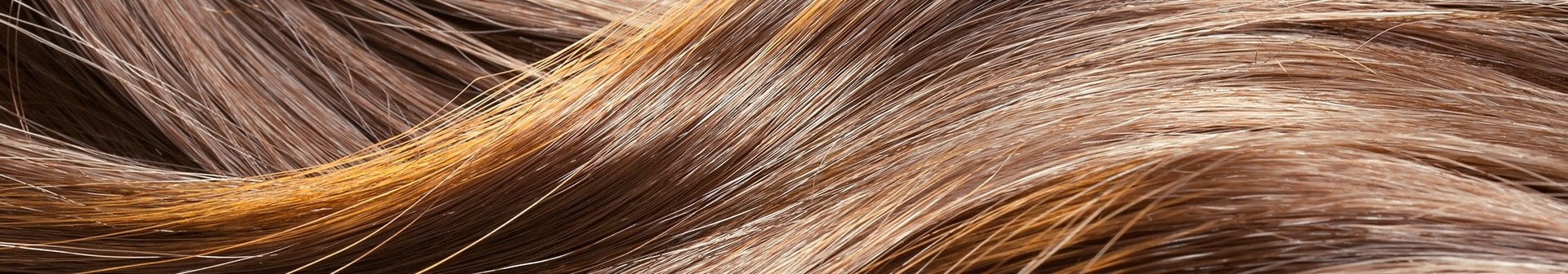Highlights in Haaren