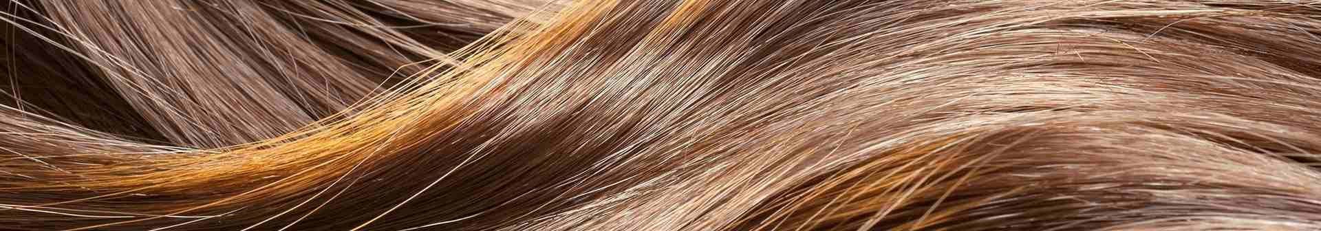 Highlights in Haaren