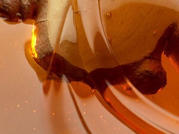 Geleartige Struktur in Kupferbraun