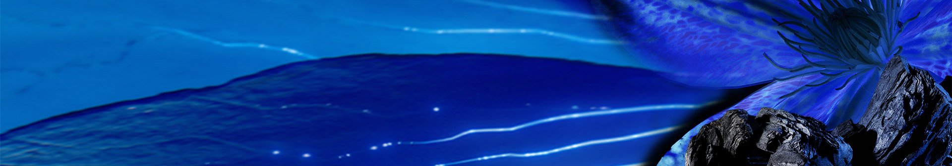 Detailansicht von Aktivkohle vor blauem Hintergrund