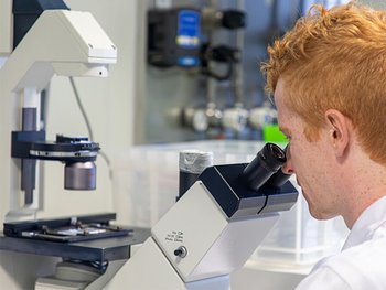 Rothaariger Mann, der durch ein Mikroskop im Labor blickt