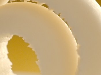 Sheabutter - Detailaufnahme