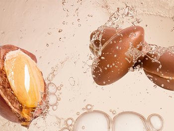 Argan Nüsse - Detailaufnahme