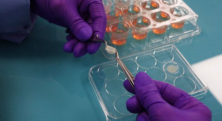 Laborant entnimmt Probe aus Versuchsreihe