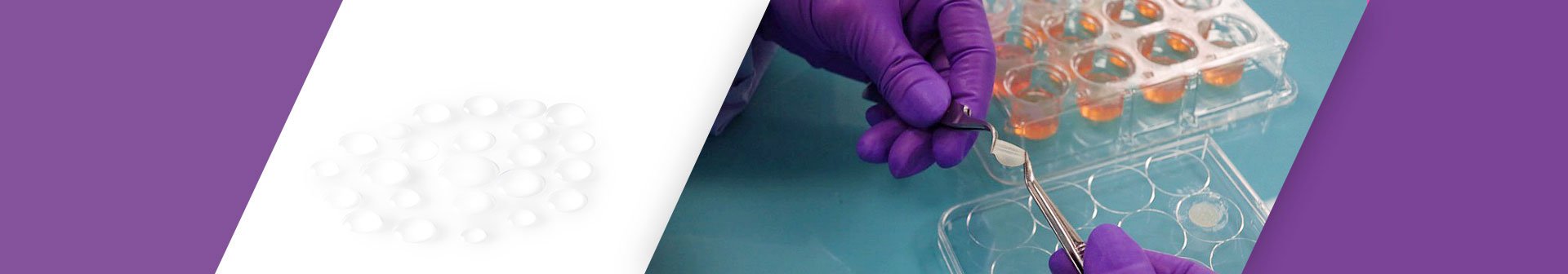 Laborant entnimmt Probe aus Versuchsreihe