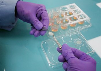 Tierversuche Sicherheit der Produkte