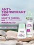 Sanfte Formel der Anti-Transparent Deos