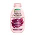 Wahre Schätze Regenerierendes Feuchtigkeitsspendendes Shampoo Traube Hydraboost Produktbild