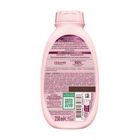 Wahre Schätze Regenerierendes Feuchtigkeitsspendendes Shampoo Traube Hydraboost Rückseite
