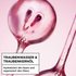Inhaltsstoffe Traubenwasser und Traubenkernöl