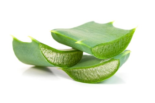 Inhaltsstoff Aloe Vera: Alles was Du wissen solltest | Garnier