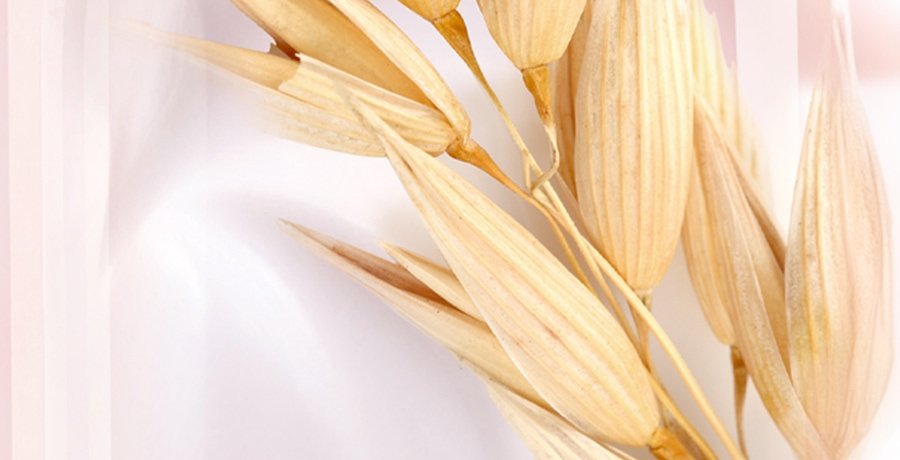 Hero Banner Image