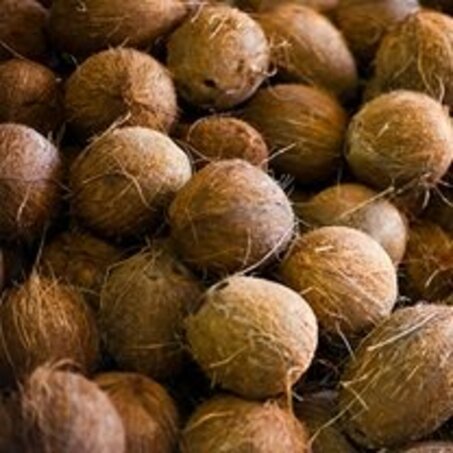 Viele Kokosnüsse