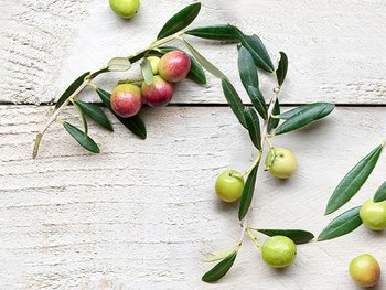 Zwei Olivenzweige liegen auf Holz