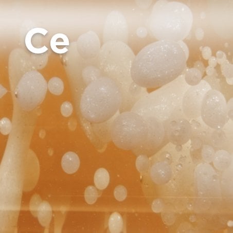 Ceramide Detailansicht