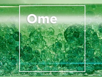 Sheabutter / Omega 6 - Detailansicht