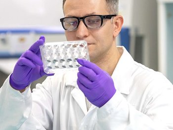 Mann im Labor betrachtet eine Reihe an Proben