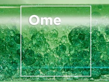 Darstellung des Inhaltstoffs Sheabutter