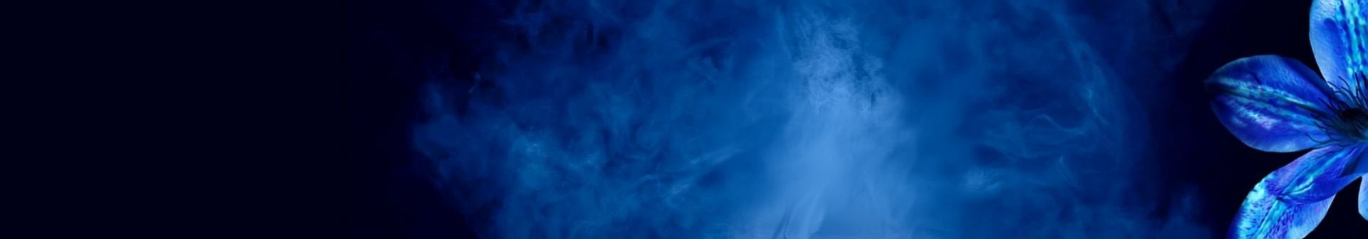 Wahre Schätze Ausgleichende Haarpflege - Produktabbildungen