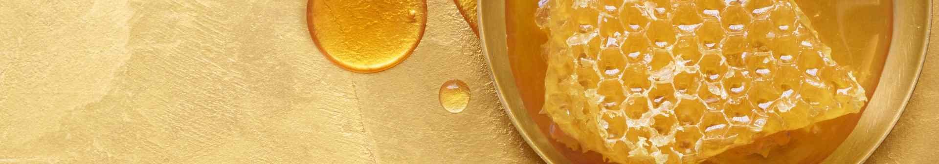 Bienenwabe und Honig