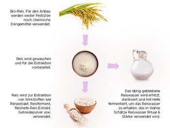 Verarbeitungsprozess vom Reis bis zum Reiswasser in vier Schritten