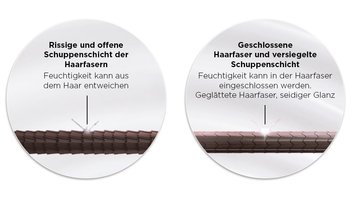 Darstellung von beschädigten und versiegelten Haarfasern