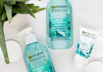 Garnier Skin Active Aloe