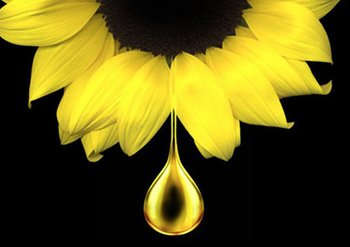 Sonnenblume mit Öltropfen
