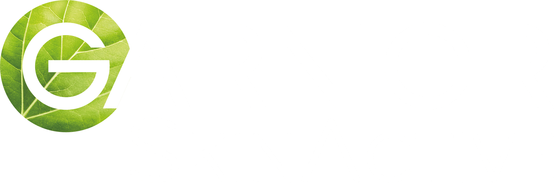 Garnier Logo